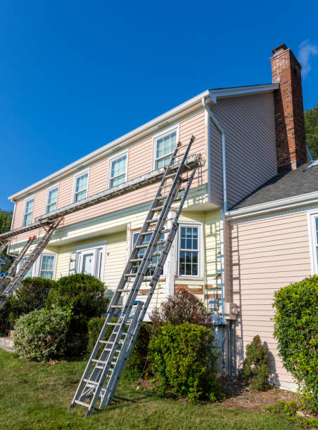 Best Historical Building Siding Restoration  in Chesterfield, IN