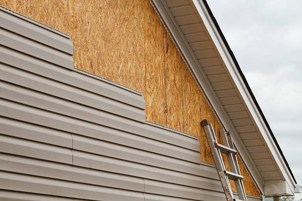 Custom Trim and Detailing for Siding in Chesterfield, IN